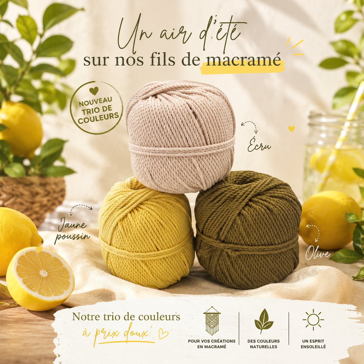 TRIO CITRONNADE- 3 PELOTES DE COTON TORSADE 3MM – Image 2